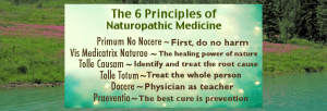 6-principles-of-naturopathic-medicine-new-feature